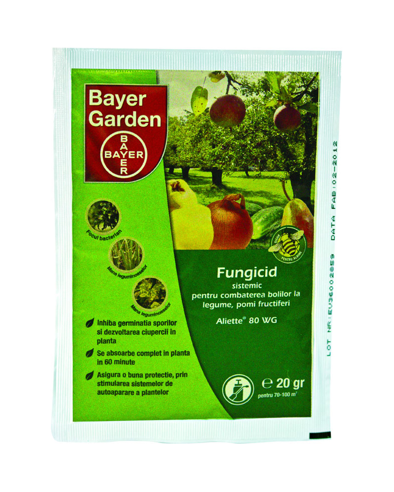 bayergarden_aliette