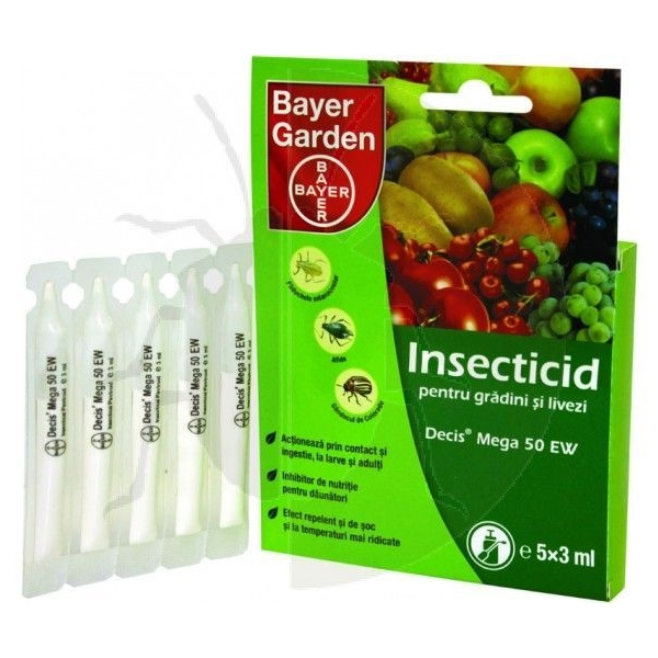 bayergarden_decis_1