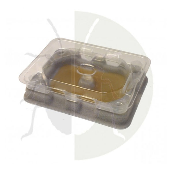 catchmaster-plosnite