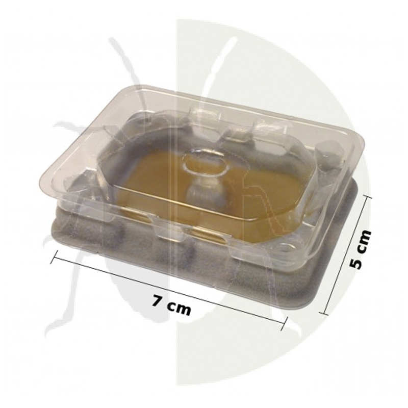 catchmaster-bds-sld