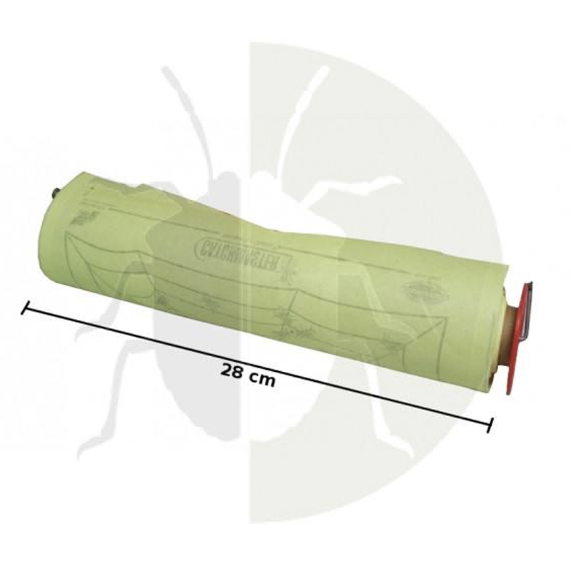 catchmaster-spyder-web