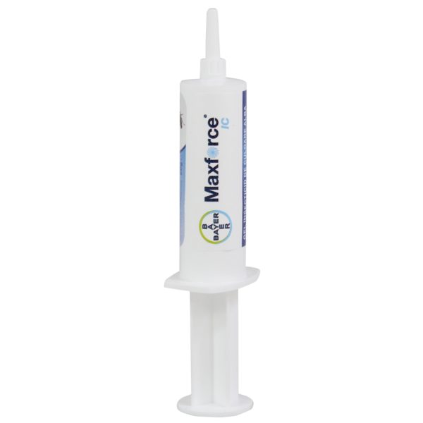 bayer-insecticid-max-force-ic-gel-20-g-cutie_1__1