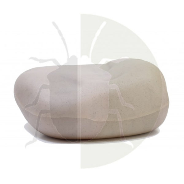 The Rock, statie de intoxicare, 1 bucata