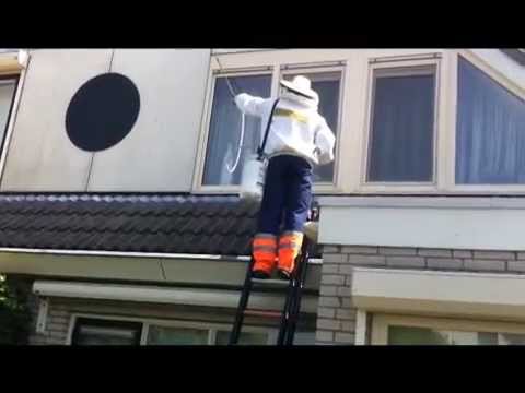 birchmeier-utilizare