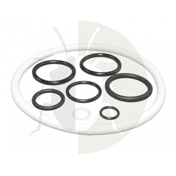Set garnituri pompa si rezervor Birchmeier Iris 15